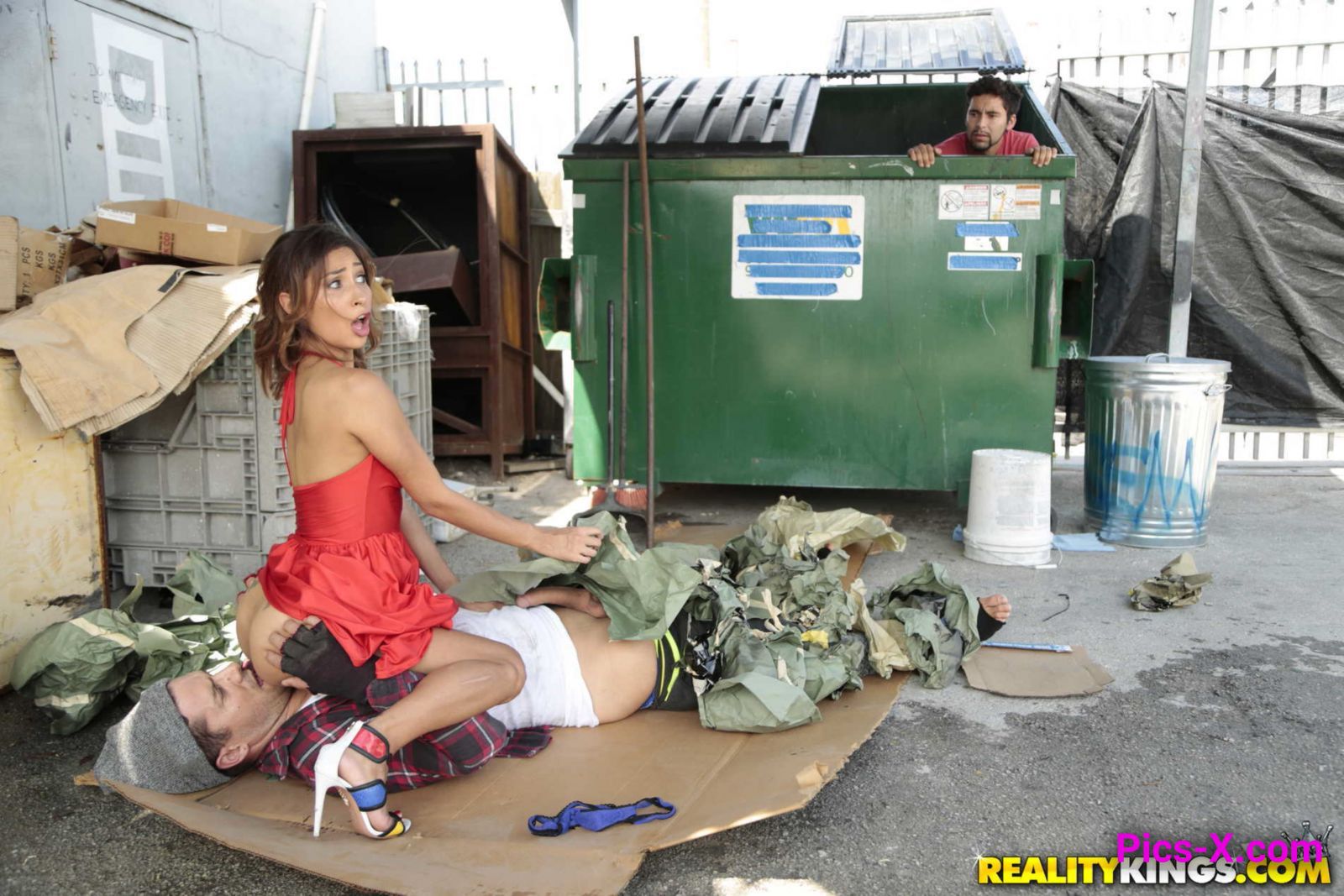 Dumpster Diving - Sneaky Sex - Image 39