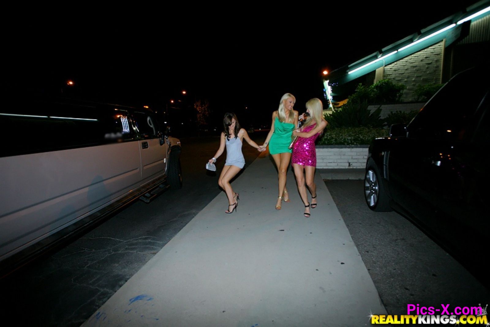 Licked In The Limo - We Live Together - Image 24