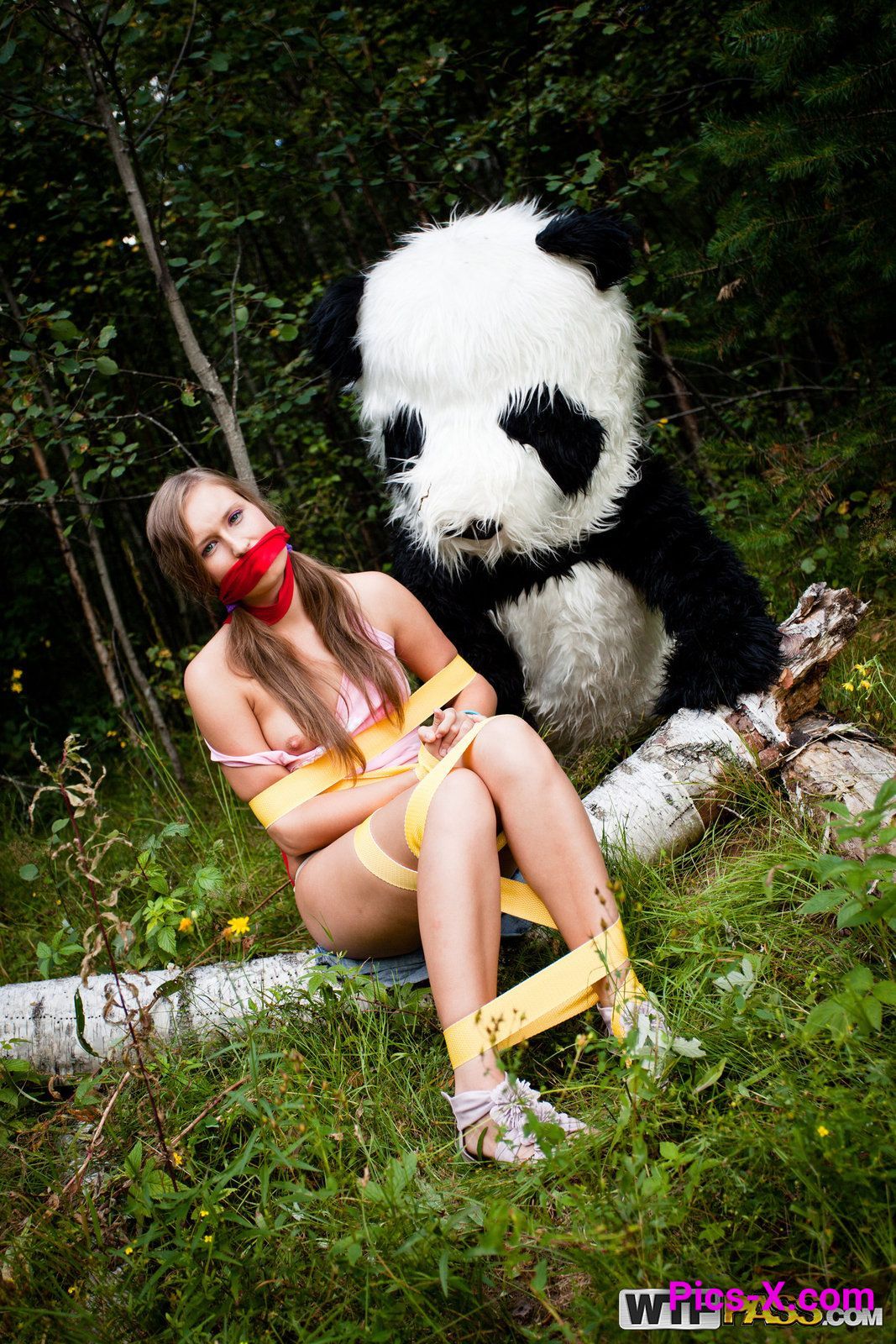 Wild sex to award a hero panda - Panda Fuck - Image 6