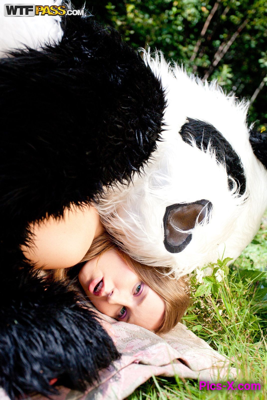 Wild sex to award a hero panda - Panda Fuck - Image 53