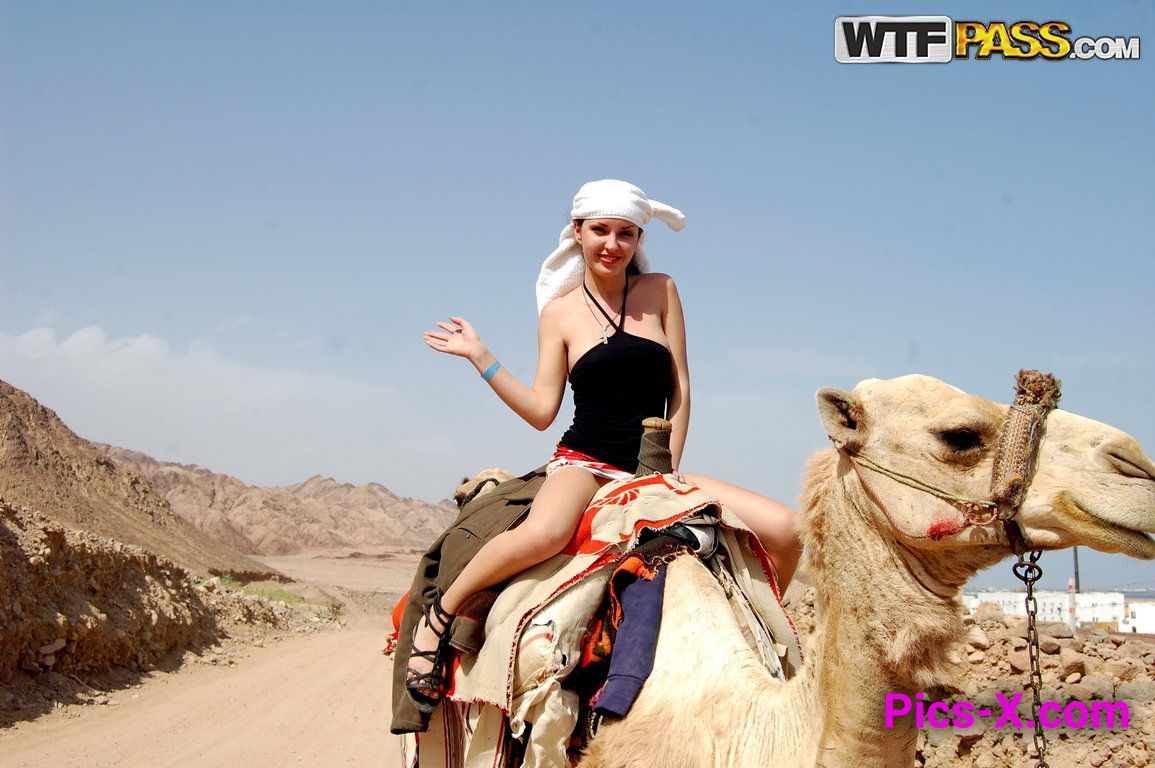 Hot travel sex movie from Egypt: Day 3 - Mountains, camels and fucking - Porn Weekends - Image 19