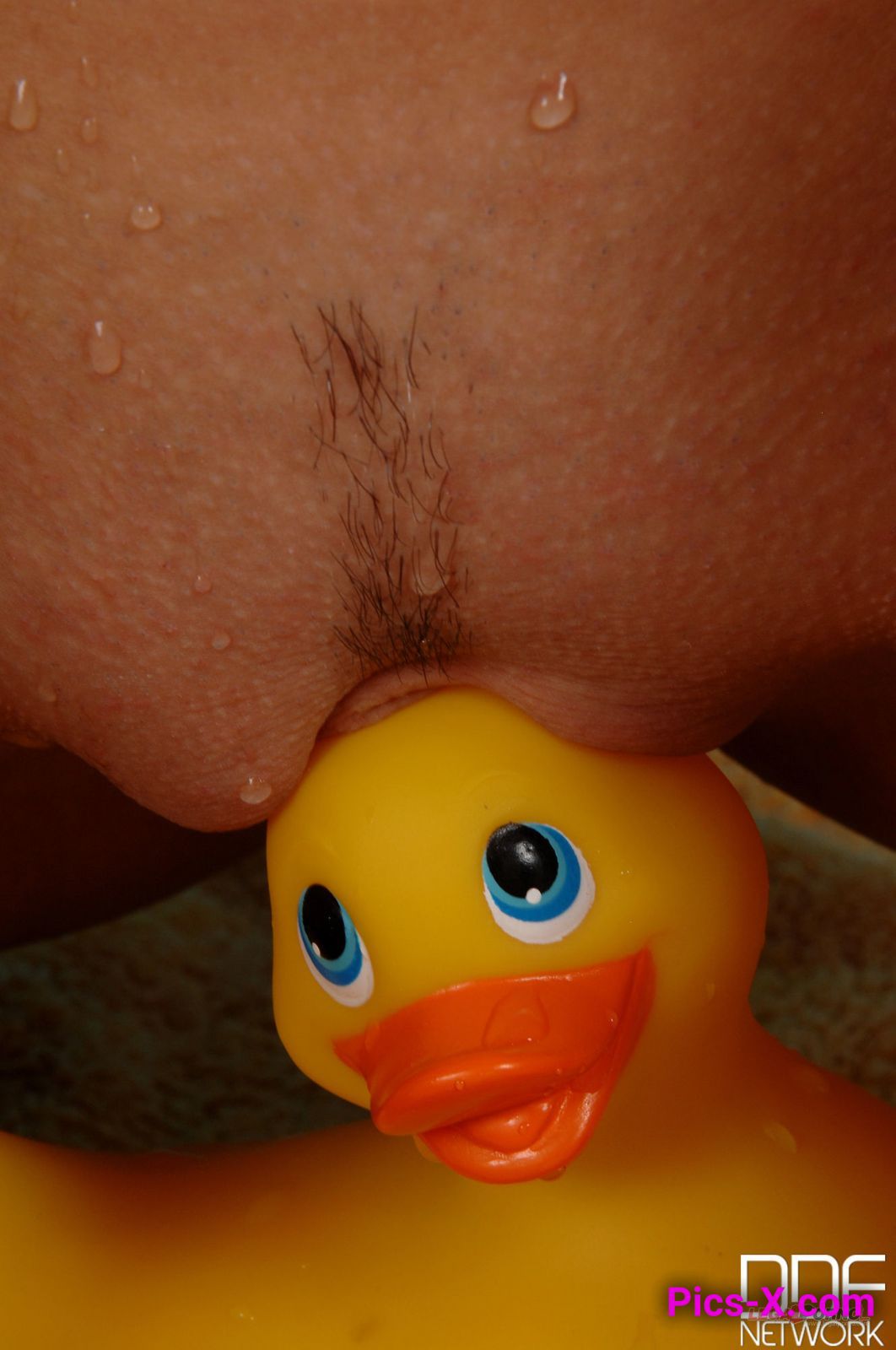 Lucky Duck Gets a Suck!  - Porn World - Image 49