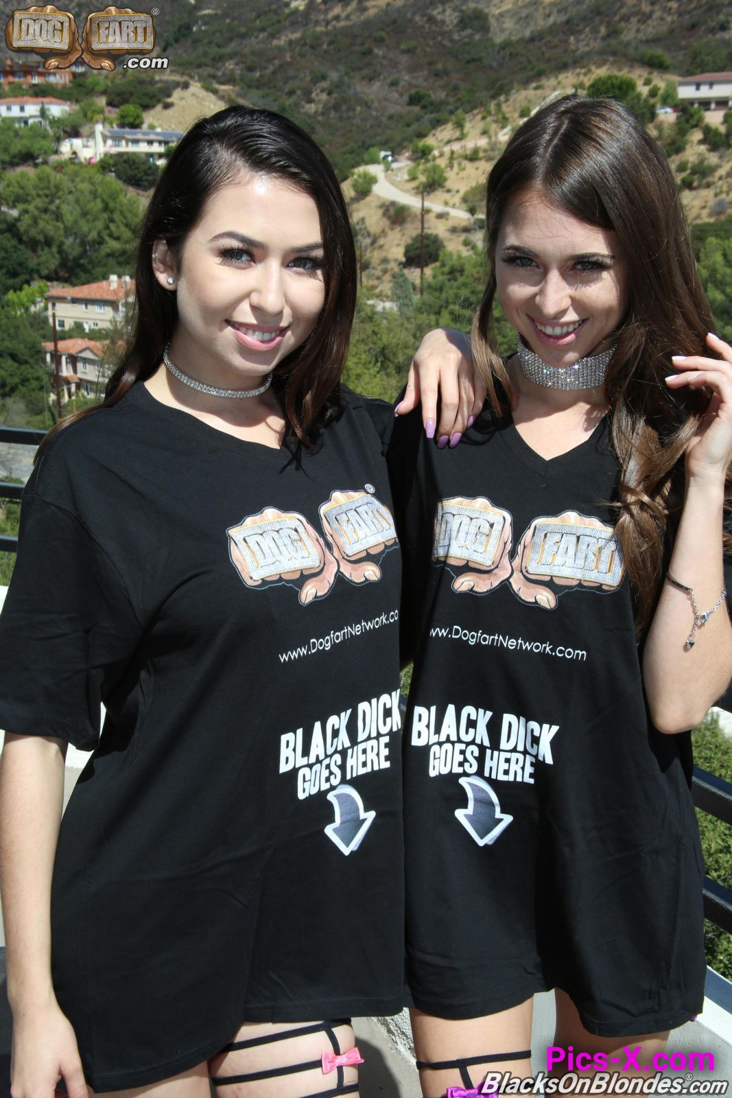 Riley Reid & Melissa Moore - Blacks On Blondes - Image 2